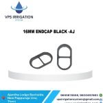 WhatsApp Image 2025-01-31 at 3.49.57 PM (29) – Copy – Copy – Copy – Copy – Copy