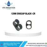 WhatsApp Image 2025-01-31 at 3.49.57 PM (29) – Copy – Copy – Copy – Copy