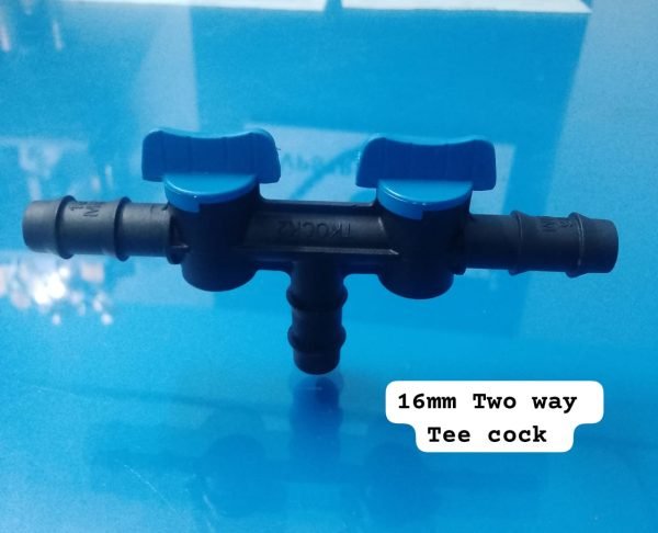 WhatsApp Image 2024-11-15 at 5.55.08 PM