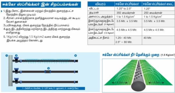 WhatsApp Image 2024-12-04 at 5.25.31 PM
