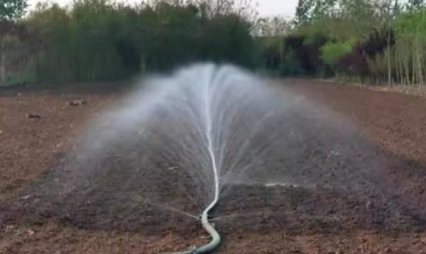 WhatsApp Image 2024-12-04 at 6.43.15 PM (1)