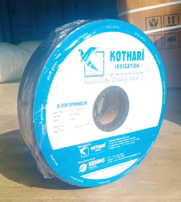 WhatsApp Image 2024-12-04 at 6.43.15 PM (4)