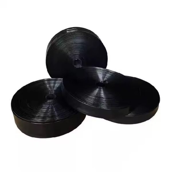 WhatsApp Image 2024-12-04 at 6.43.15 PM