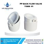 WhatsApp Image 2025-01-31 at 3.49.56 PM (3)